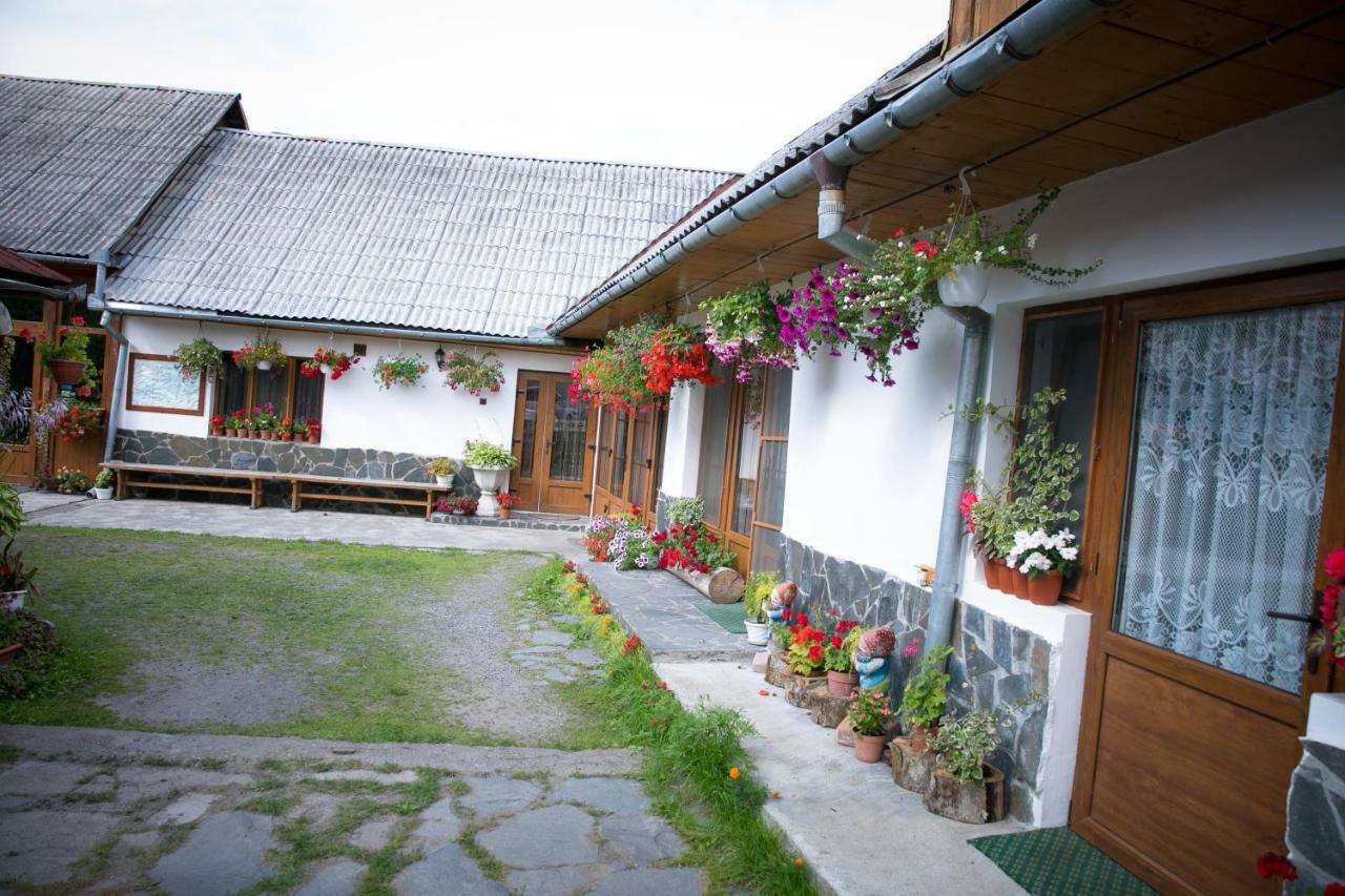 Ileana Sapanta Hotell Eksteriør bilde